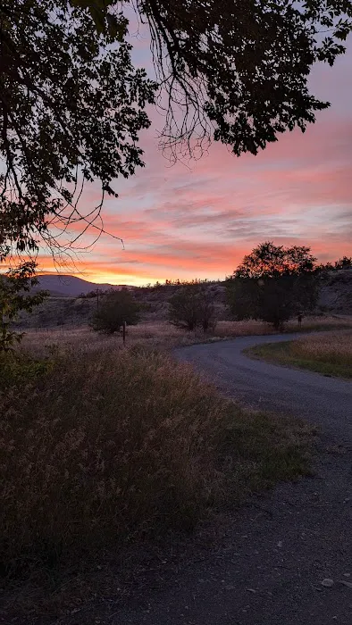 Spectacle Lake Campground 6