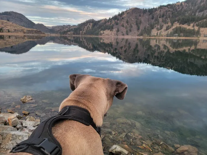 Wannacut lake 2