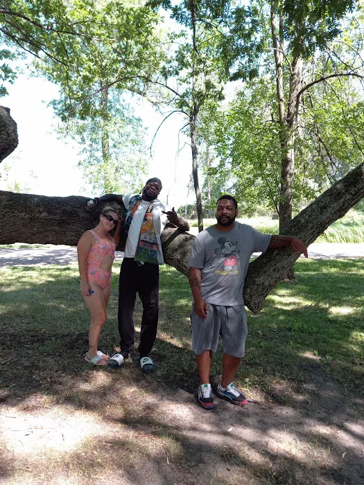 Vanderbilt County Park & Campground 4