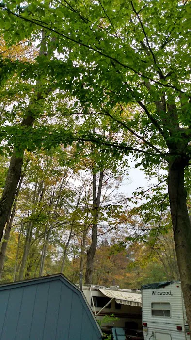 Woodland Park Campground 2