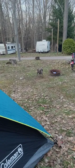 Woodland Park Campground 9