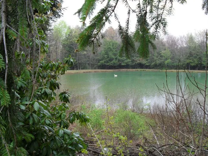 Woodland Park Campground 7