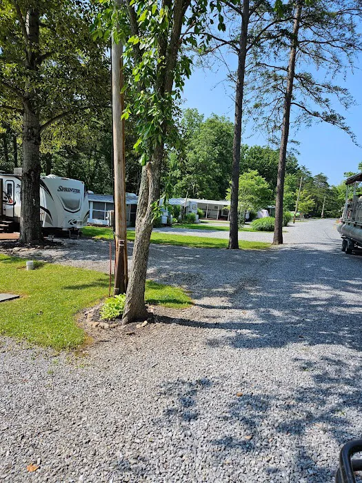 Shy Beaver RV Park 7