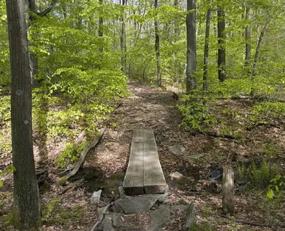 Decker Shelters