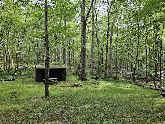 Balsam Site 0