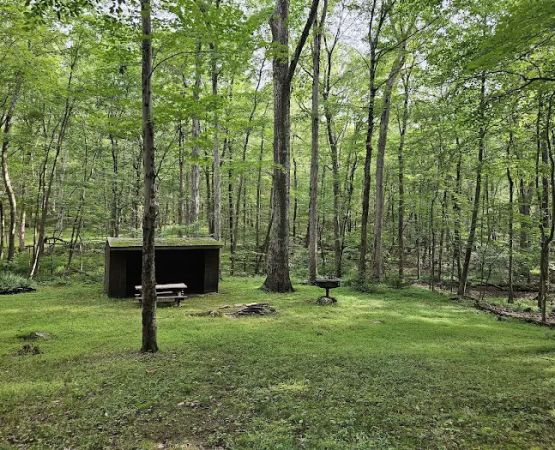 Balsam Site