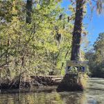 John’s Island Central