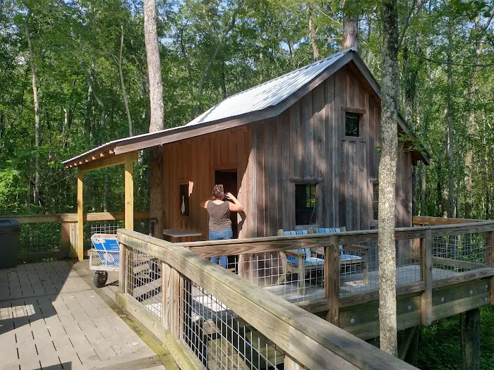 Cashie River Treehouse Village 6
