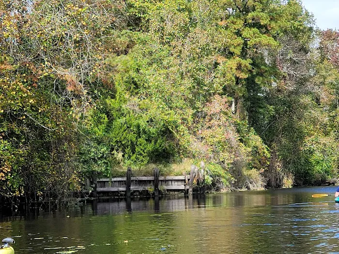 Cashie River Treehouse Village 2