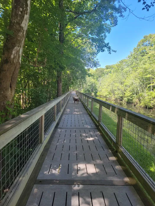 Cashie River Treehouse Village 9