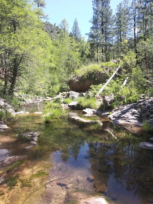 Alderwood Campground 4