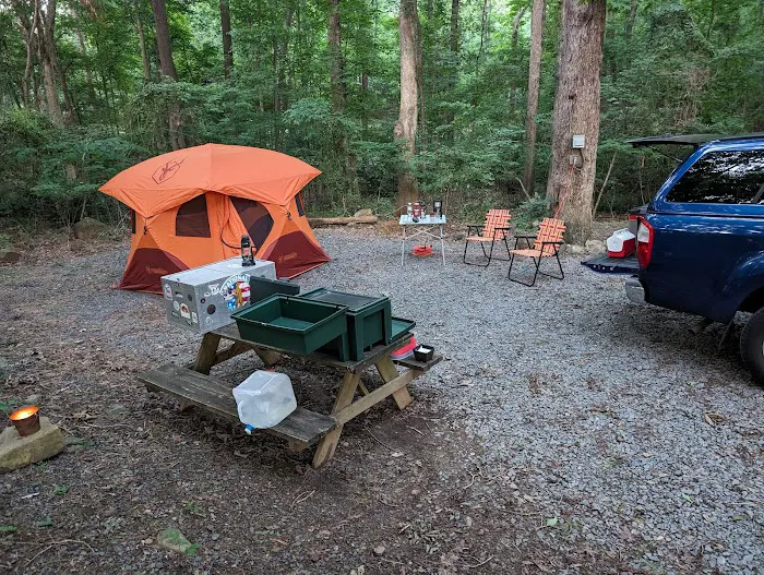 Norwood Campground 1