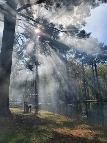 Norwood Campground 4