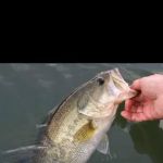 Hidden Hideaway Campground & Marina