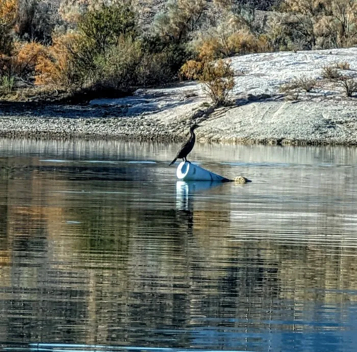 Senator Wash Reservoir South Shore 8
