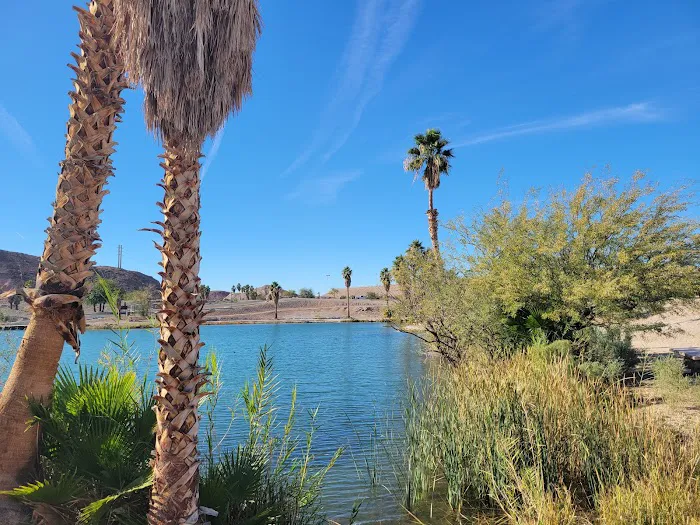 Imperial Dam Long Term Visitor Area 5