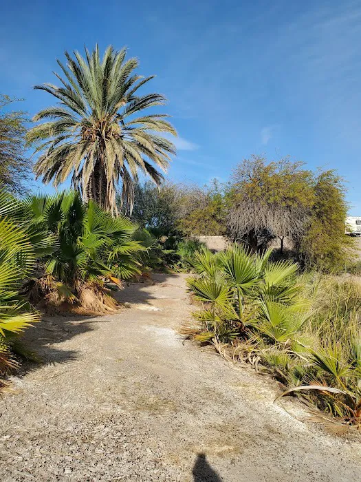 T.K. Jones Campground 7