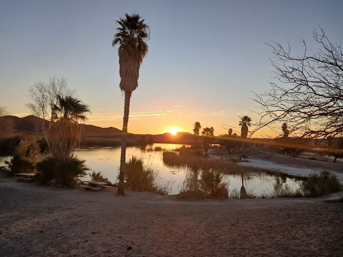 T.K. Jones Campground 8