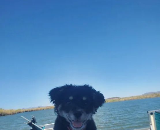 Lake Mittry