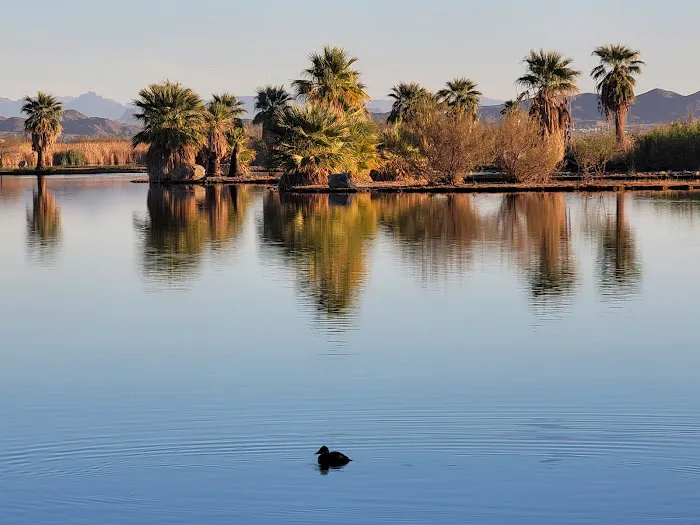 Mittry Lake - Free Camp 9