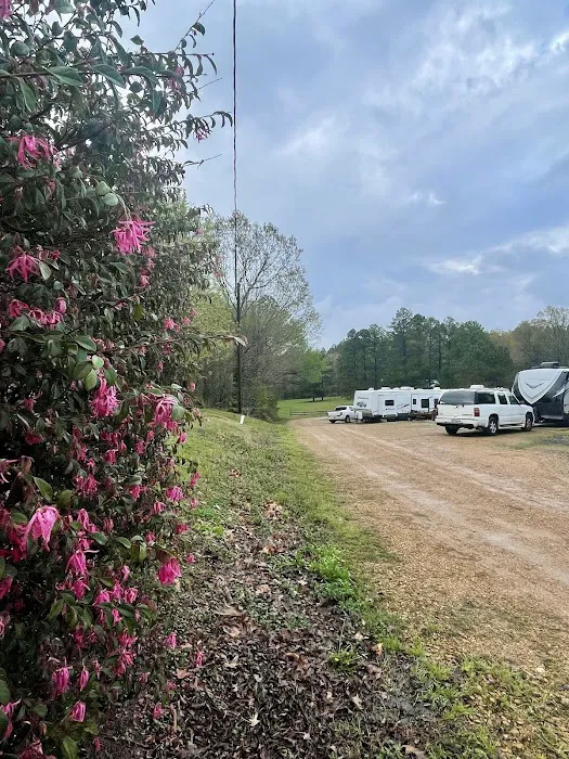 Sunrise Retreat RV Resort 5