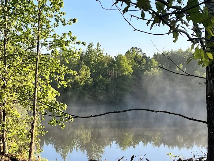 Turtle Lodge Campground & RV 9
