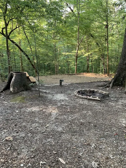 Tunica Hills Campground 2