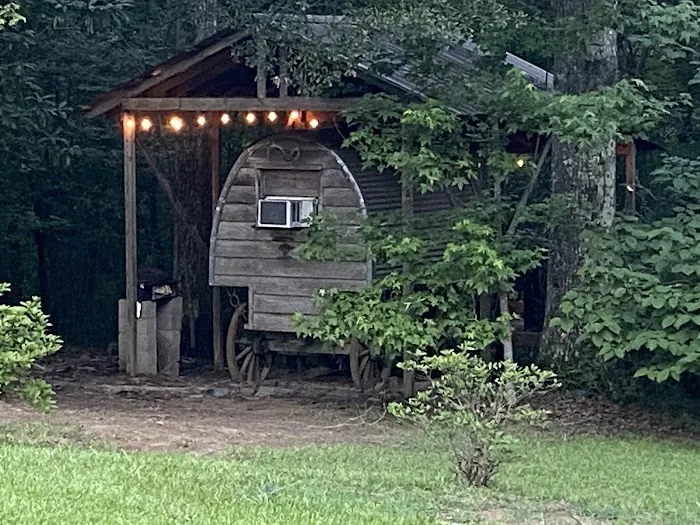 Tunica Hills Campground 4