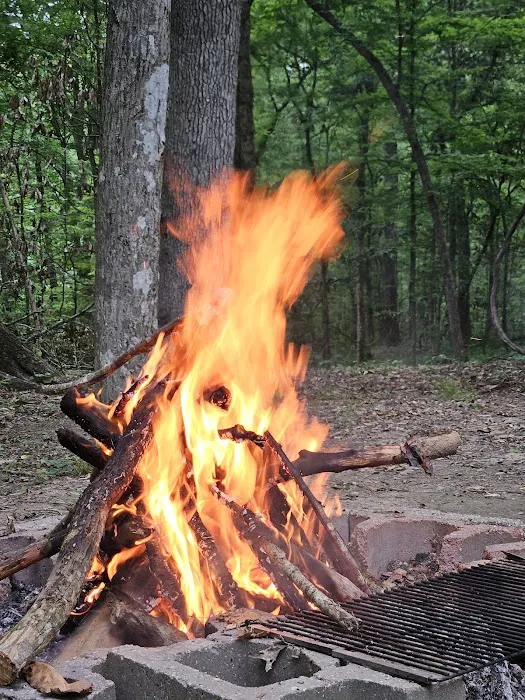 Tunica Hills Campground 8