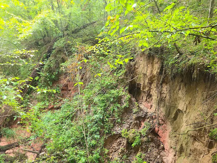 Tunica Hills Campground 3