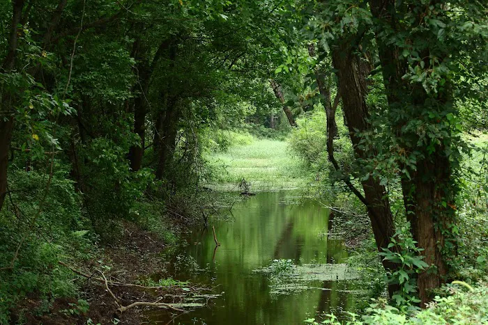 Red River Bay Campground 1