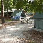 Spruce Campsite