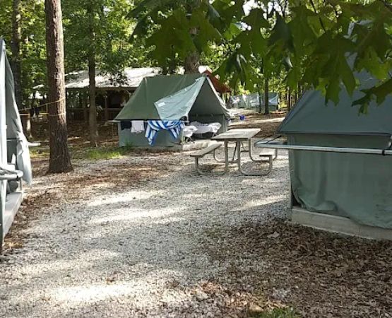 Spruce Campsite