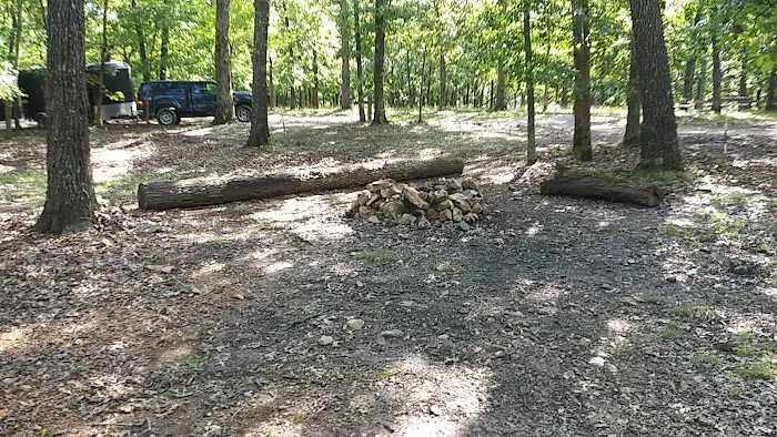 Spruce Campsite 3