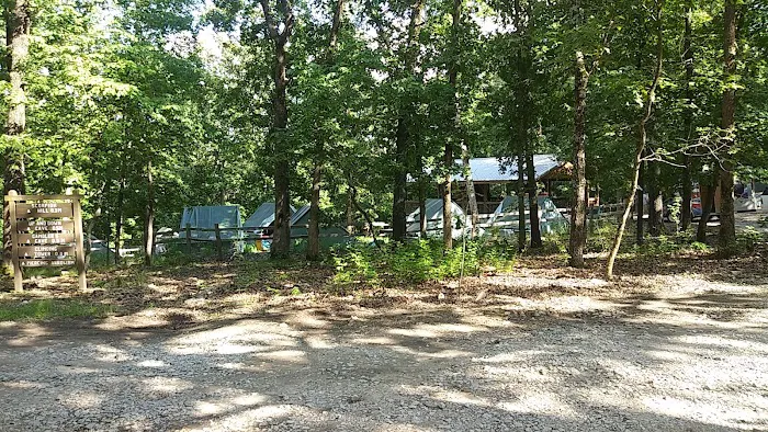 Spruce Campsite 1
