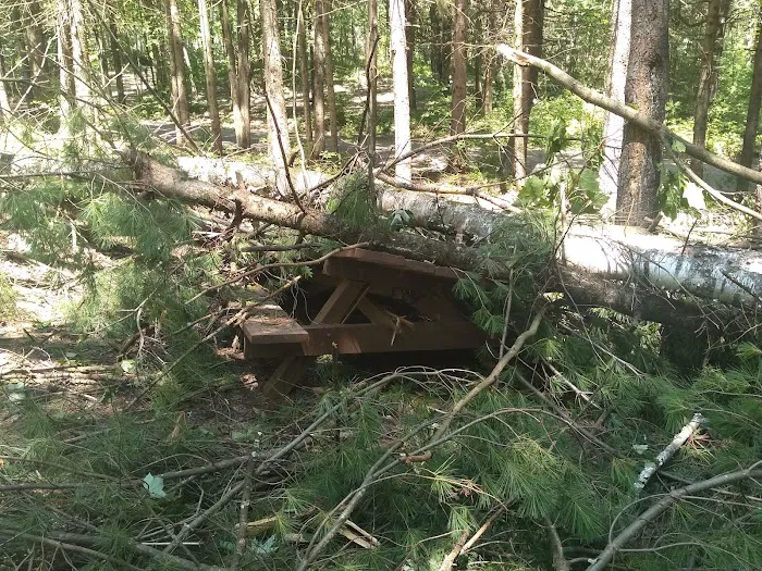 Oconto County Park Campground 6