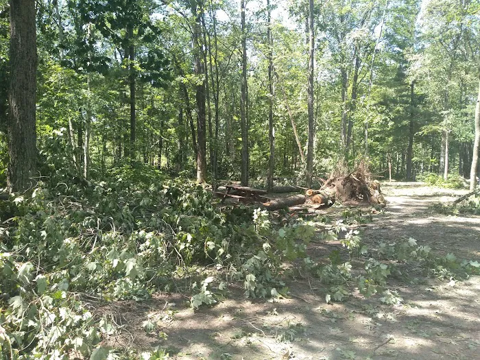 Oconto County Park Campground 5