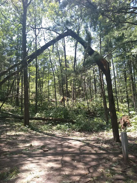 Oconto County Park Campground 3