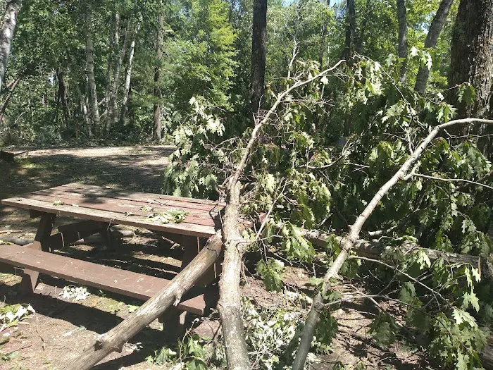 Oconto County Park Campground 4