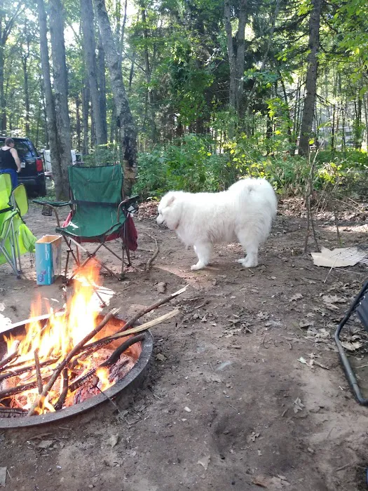 Oconto County Park Campground 8