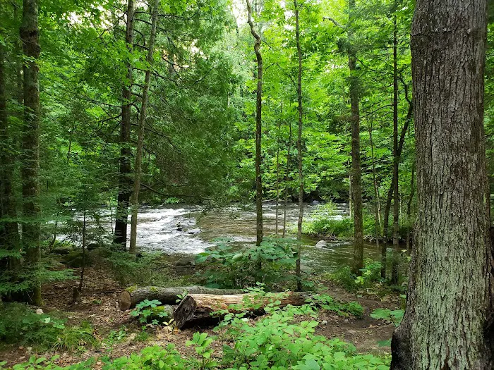 Bagley Rapids Campground 9