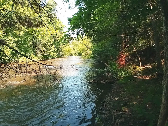 Bagley Rapids Campground 8