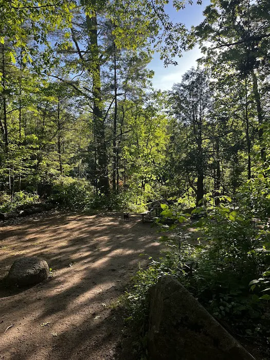 Bagley Rapids Campground 5