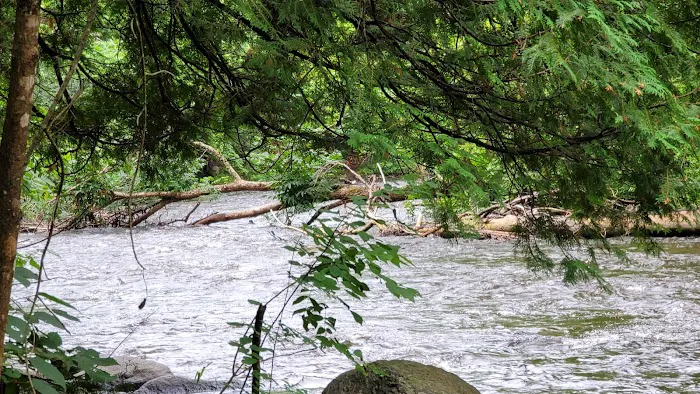 Bagley Rapids Campground 1