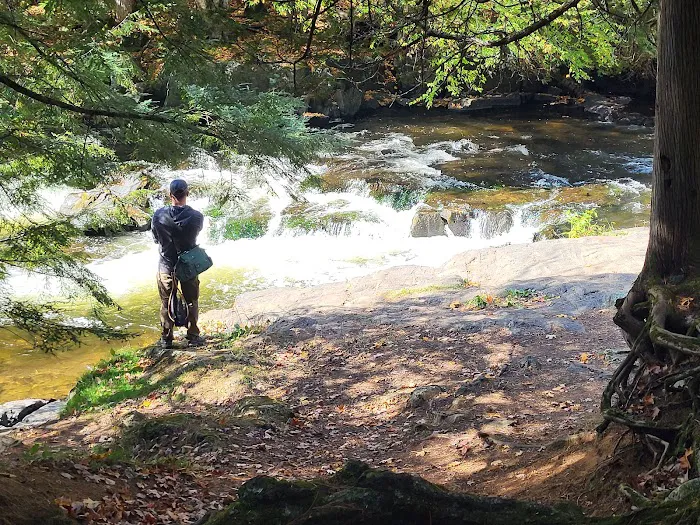 Bagley Rapids Campground 2