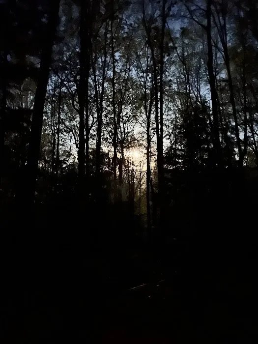 River Forest Campground 3