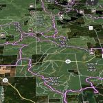 River Forest Campground