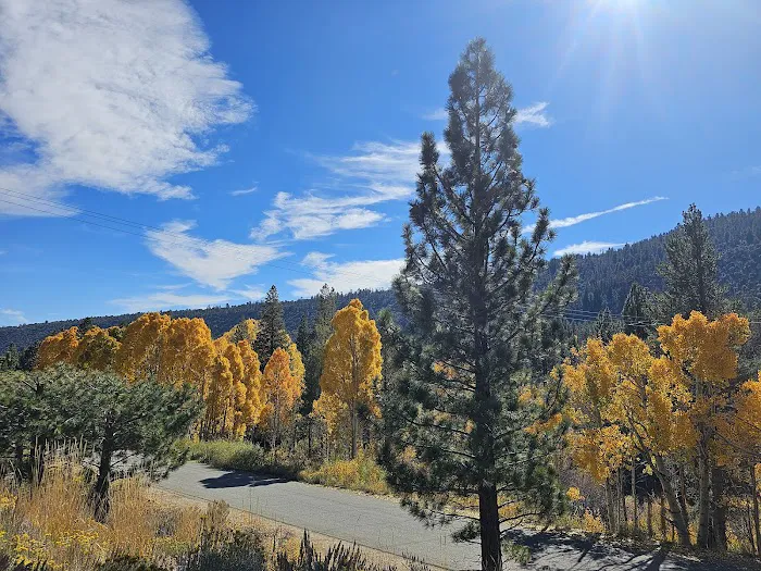 Moraine Campground 7