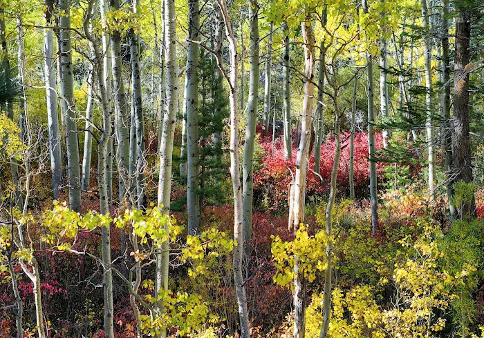 Moraine Campground 5