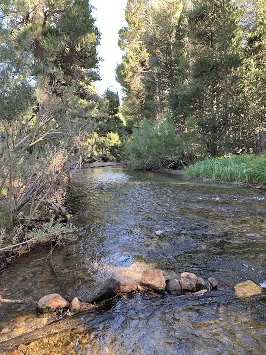 Moraine Campground 9
